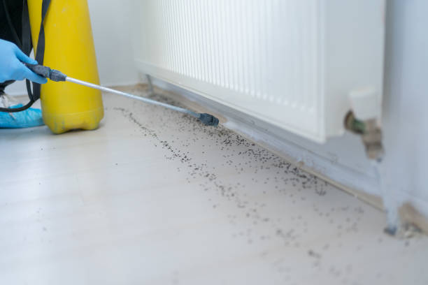 Trusted College, AK Pest Control Experts